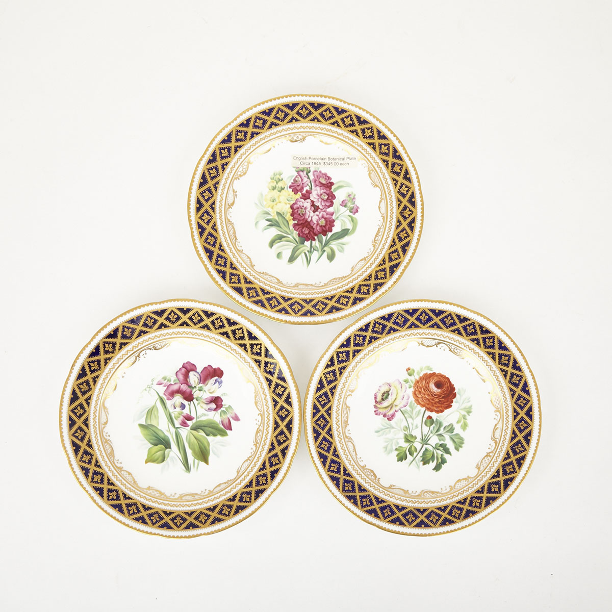 Three English Porcelain Botanical Plates, c.1845