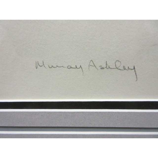 ASHLEY MURRAY (INDIGENOUS, 1961-) 