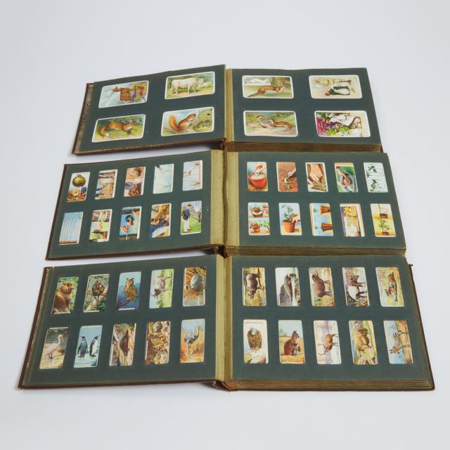 Collection of Approximately 900 Mostly Player's Cigarette Cards, early 19th century