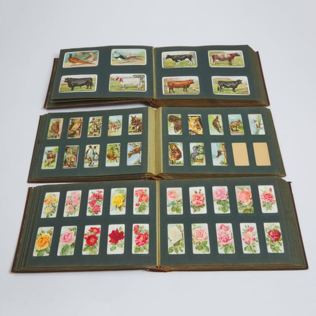Collection of Approximately 900 Mostly Player's Cigarette Cards, early 19th century