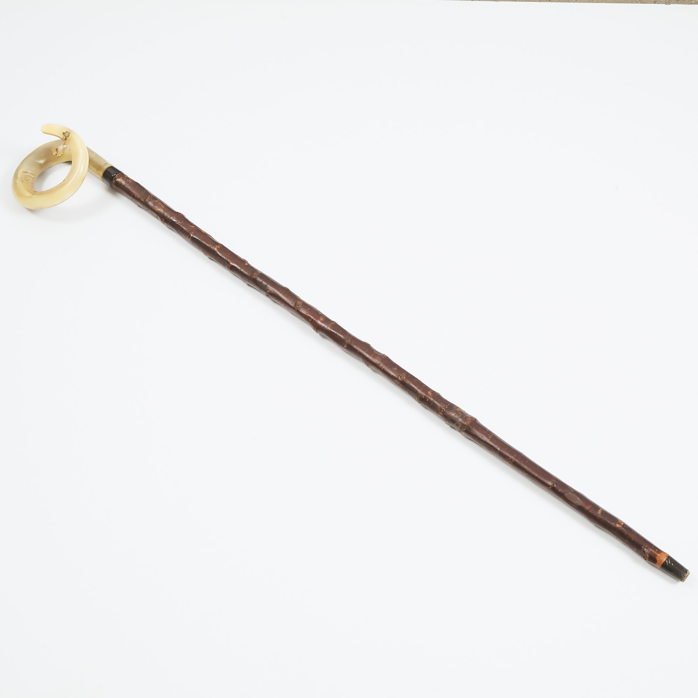 Goat Horn Walking Stick, early 20th century