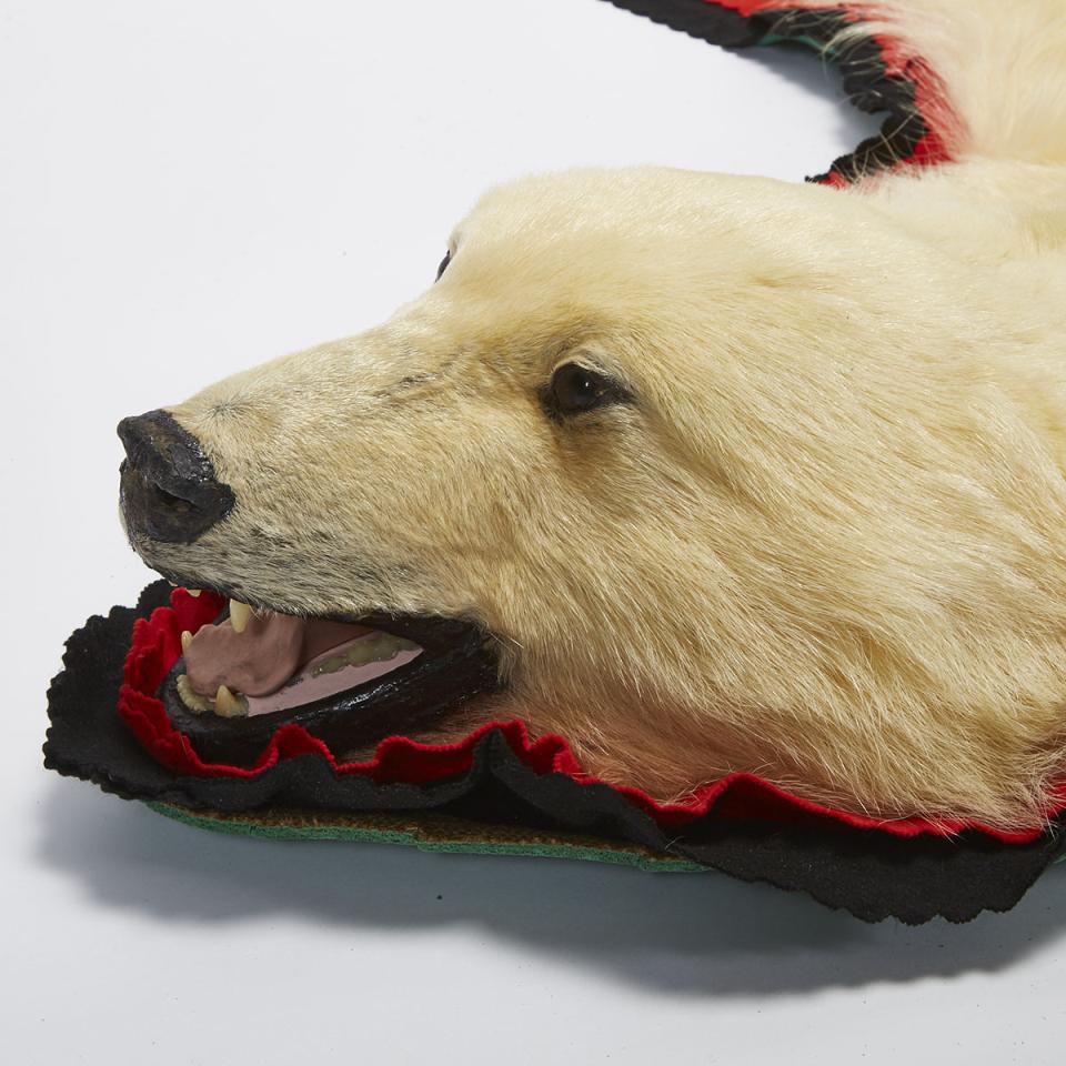 Polar Bear Skin Rug, mid 20th century