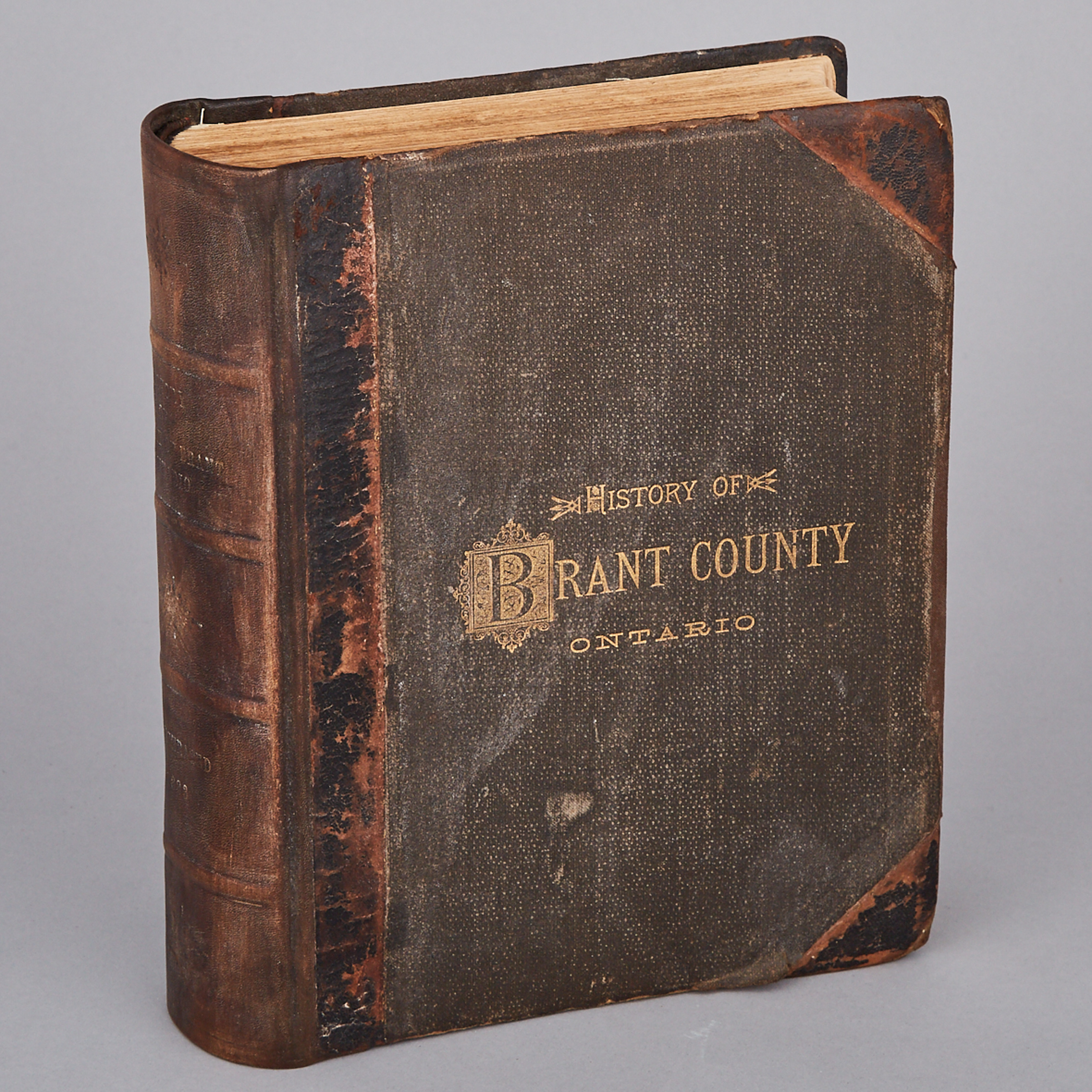 The History of the County of Brant, Ontario, 1883