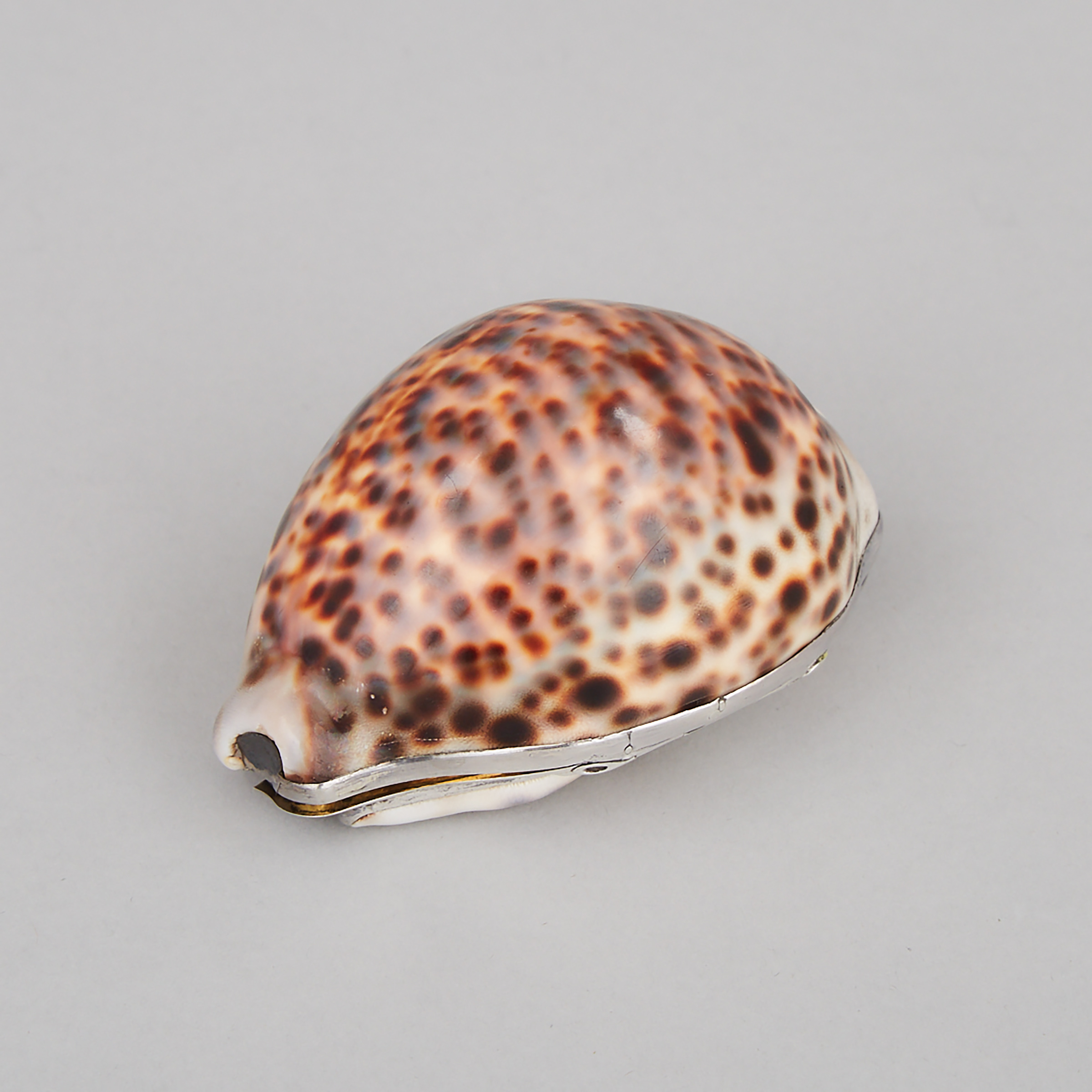 Canadian Silver Mounted Cowrie Shell Snuff Box, c.1830