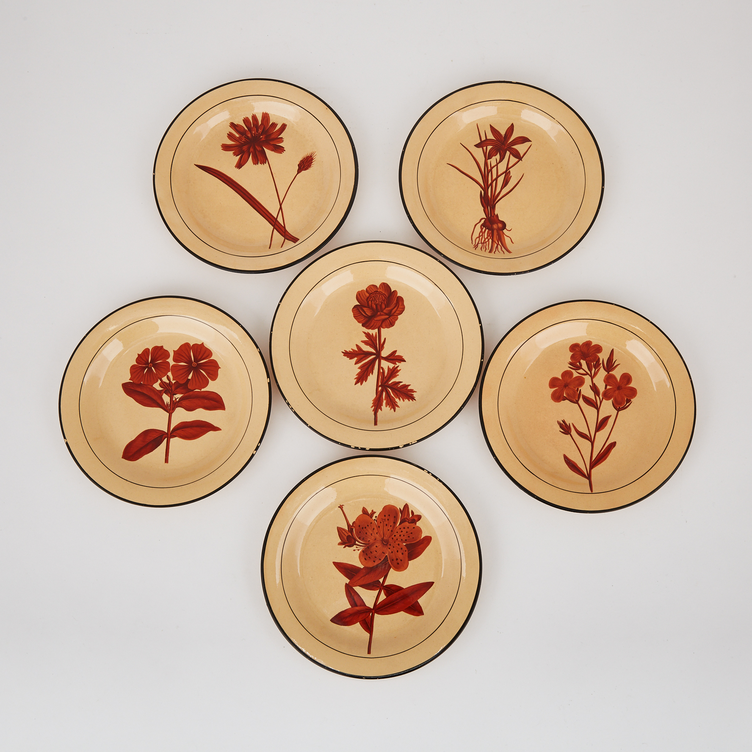 Six Davenport Chalcedony Botanical Plates, c.1810