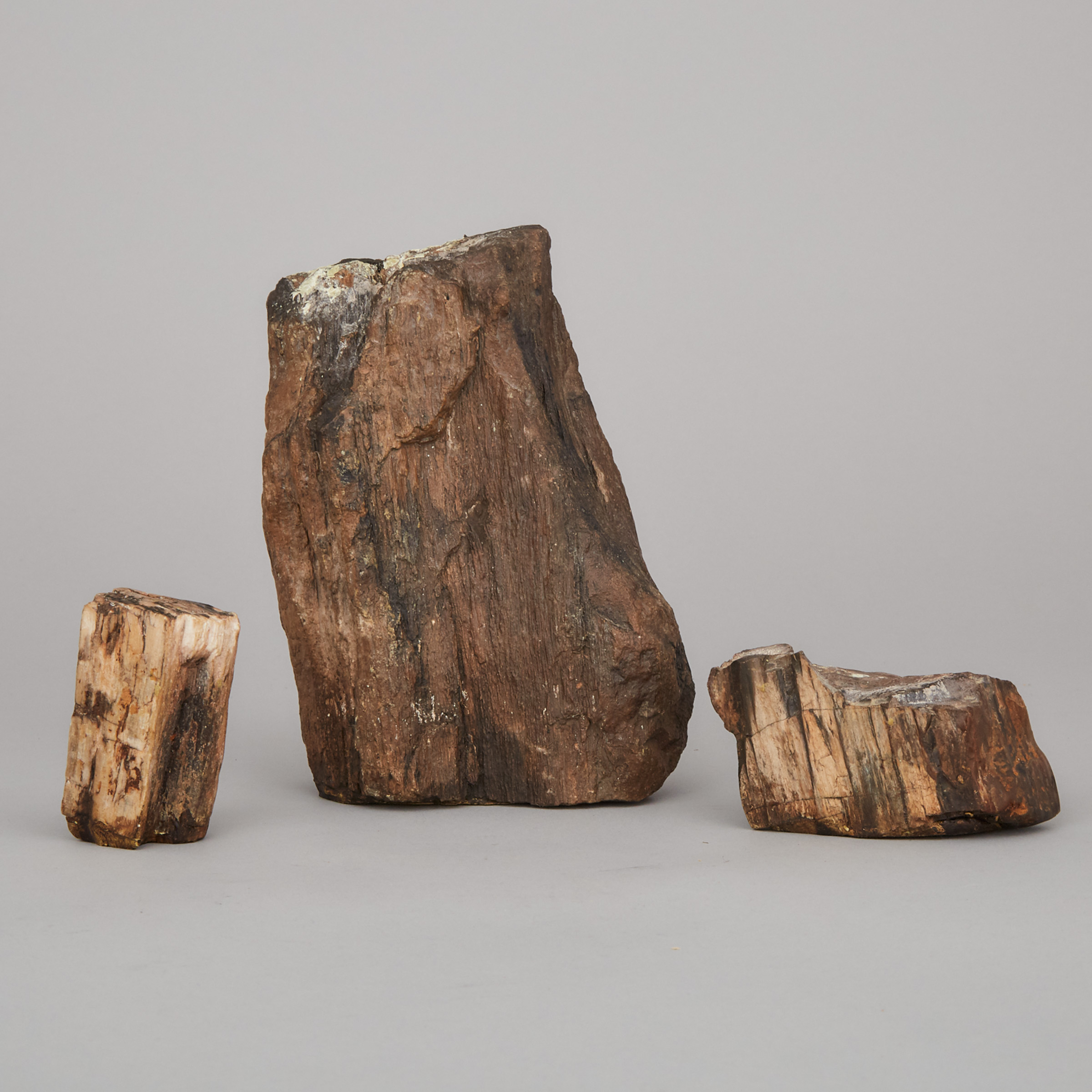 Three Pieces Petrified Wood, Late Triassic Period